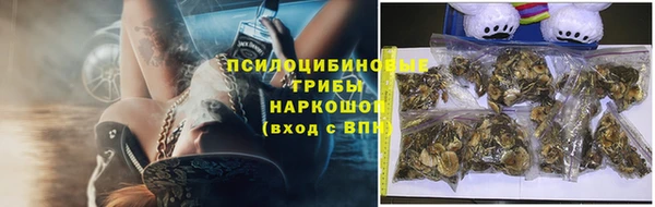 не бодяженный Инсар