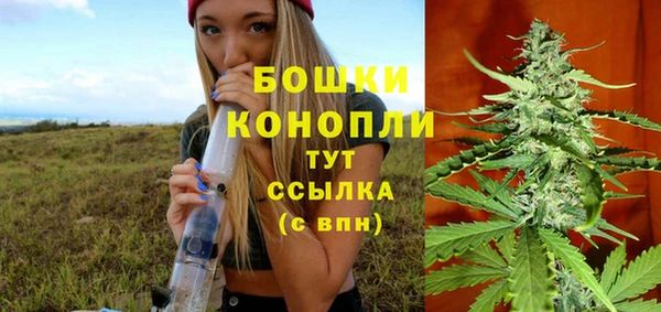 не бодяженный Инсар