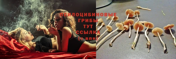 кокс Каменногорск
