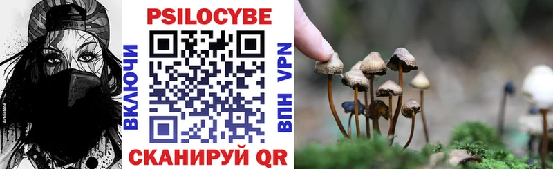 Галлюциногенные грибы MAGIC MUSHROOMS  Купить  Зима 