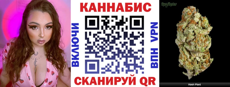 Каннабис планчик  Купить  Зима 